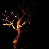 Flammender Baum